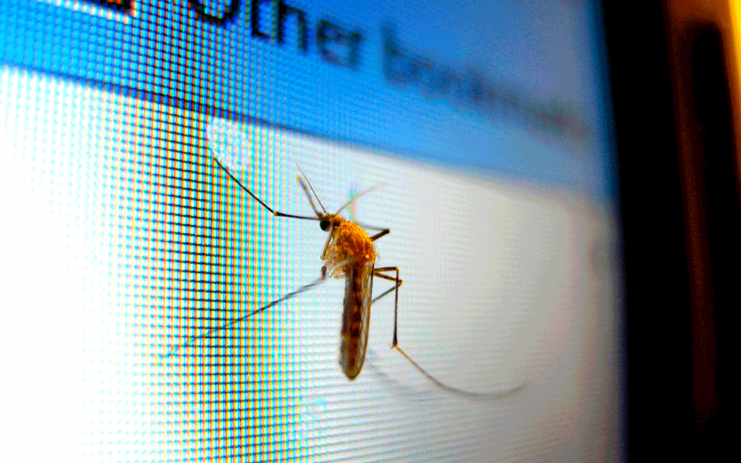 Echar a los hijos de casa. El fin de los nini