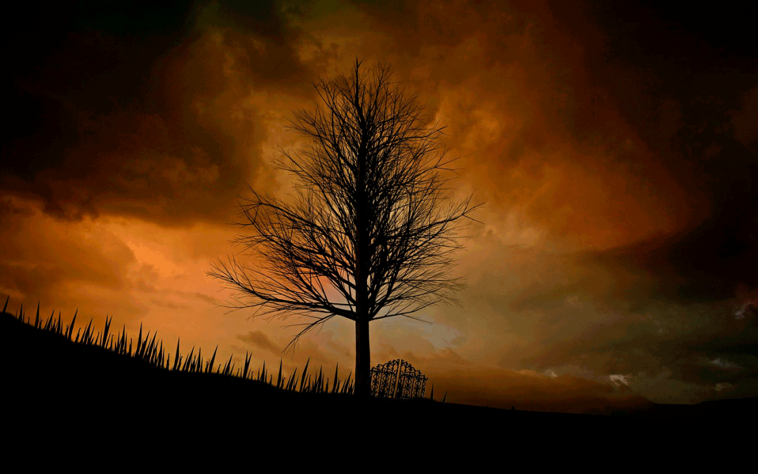 El fruto del árbol envenenado.