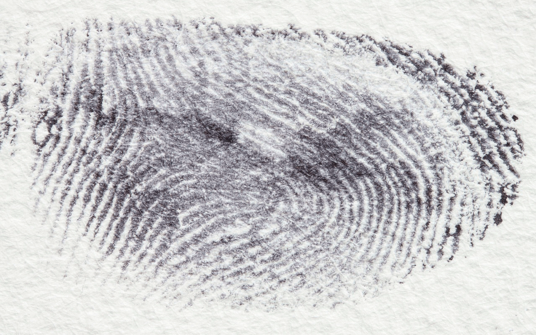 La exención de responsabilidad criminal