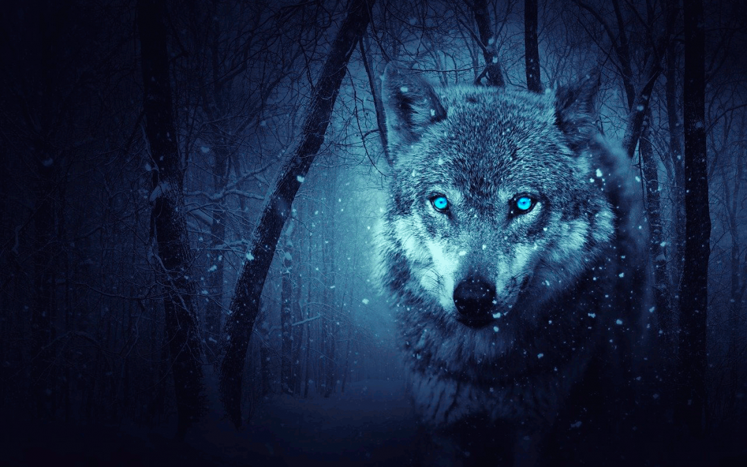 delito daños animales