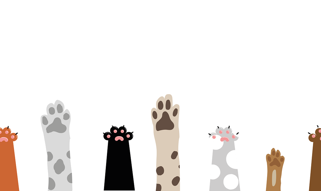 Guarda y custodia de un animal