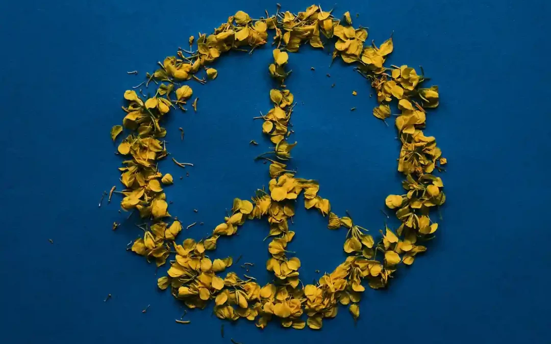 Qué es la amnistía