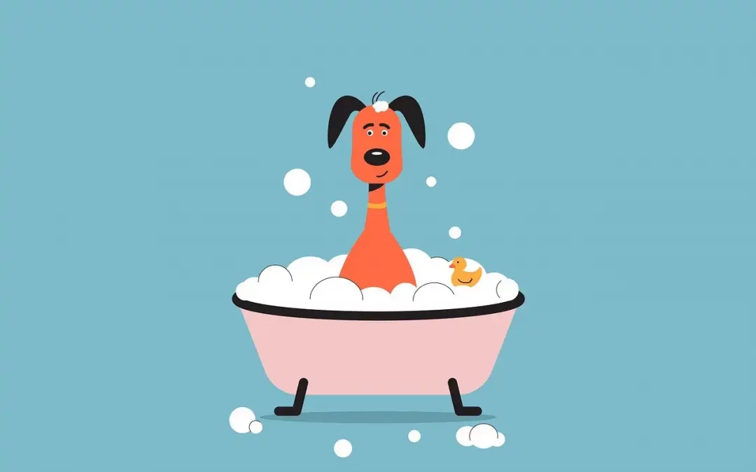 Responsabilidad en la venta y entrega de mascotas